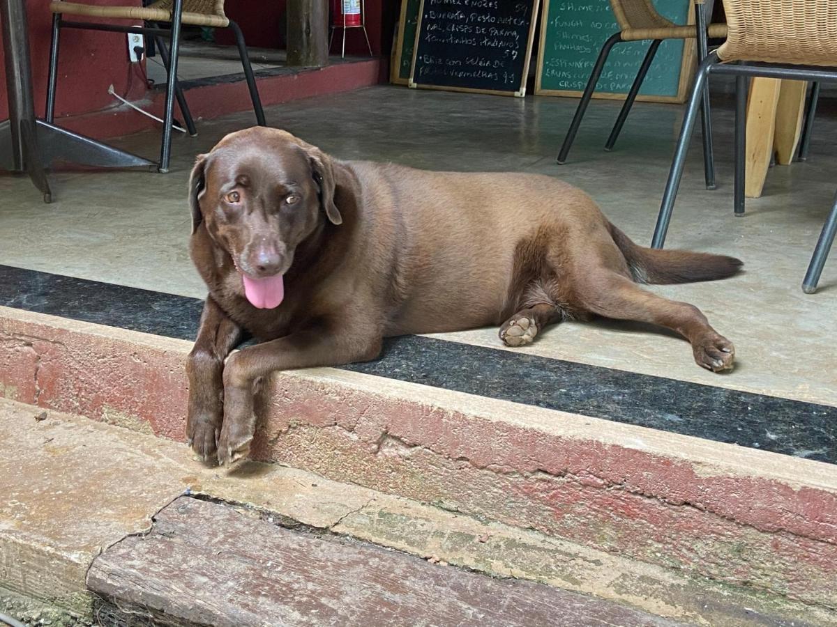A Mi Manera Pousada , Cerveja Propria E Bistro ! Brumadinho Eksteriør billede